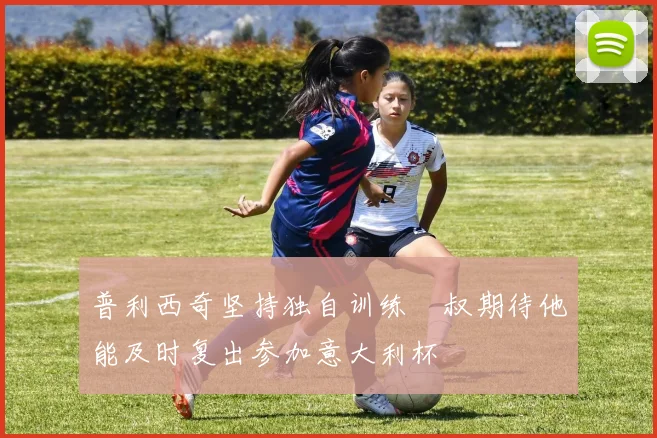 普利西奇坚持独自训练囧叔期待他能及时复出参加意大利杯