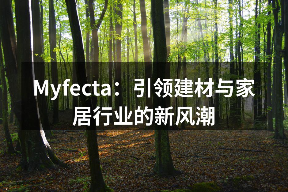 Myfecta：引领建材与家居行业的新风潮